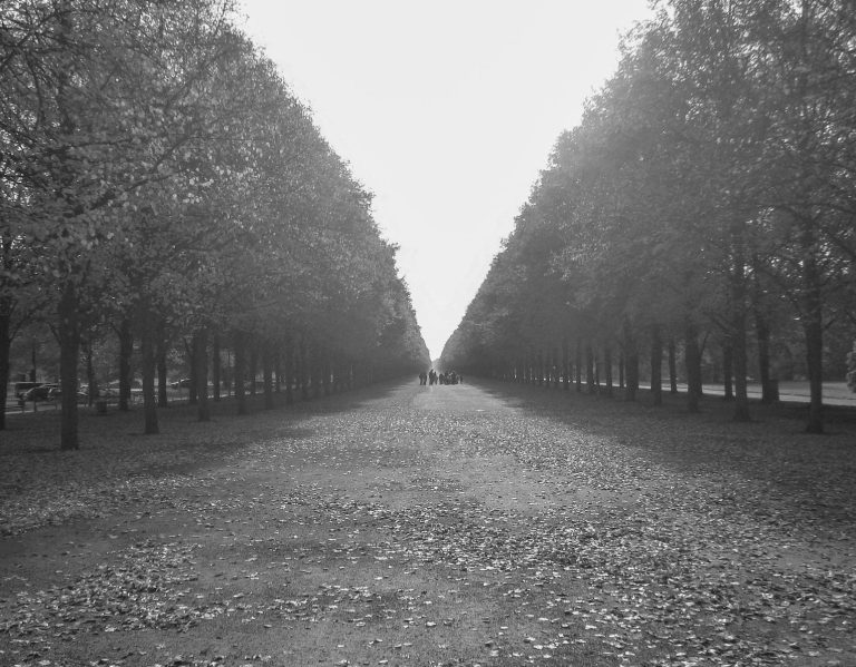 Schwarzweiß Aufnahme der Allee in Herrenhausen